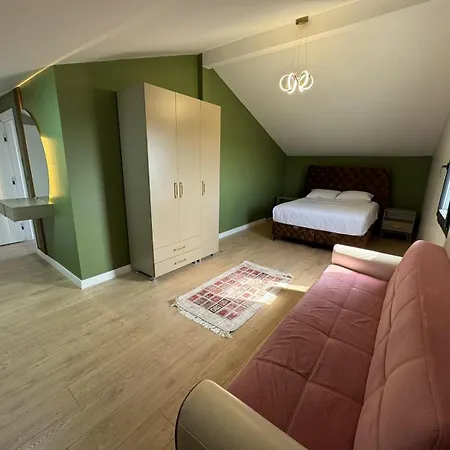 Cozy In Silivri ヴィラ *